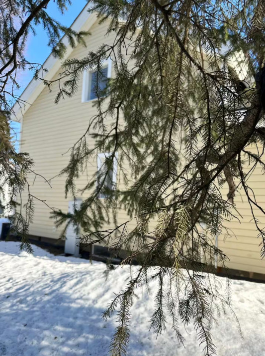Front yard